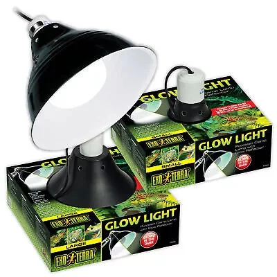 Különleges ajánlat Exo-Terra Glow Light Small 2052 lámpabúra terráriumba 14cm (PT2052)