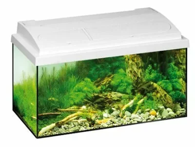 Eheim Mp Aquastar 54 Liter - White - Entry Level akvárium 60cm Exkluzív ajánlat