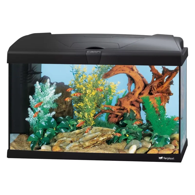 Olcsó Ferplast Capri 60 Led Nero Komplett Prémium Akvárium 60Liter (65016117)