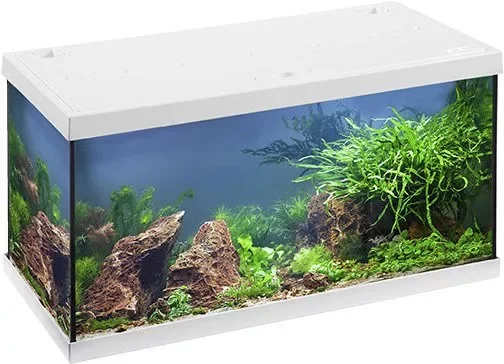Eheim Mp Aquastar 54 Liter Led White komplett felszerelt akvárium 60x30x33cm (0340646) Fehér Szezonális akció