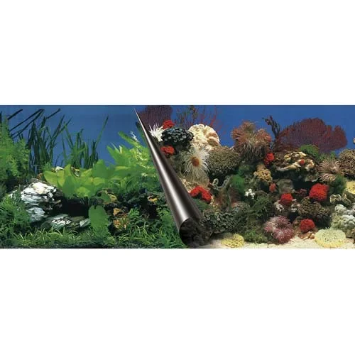 Legkelendőbb Ebi Photo Decor Stone + Coral 60 X 30Cm Akvárium Háttér Két Oldalas (59108833)