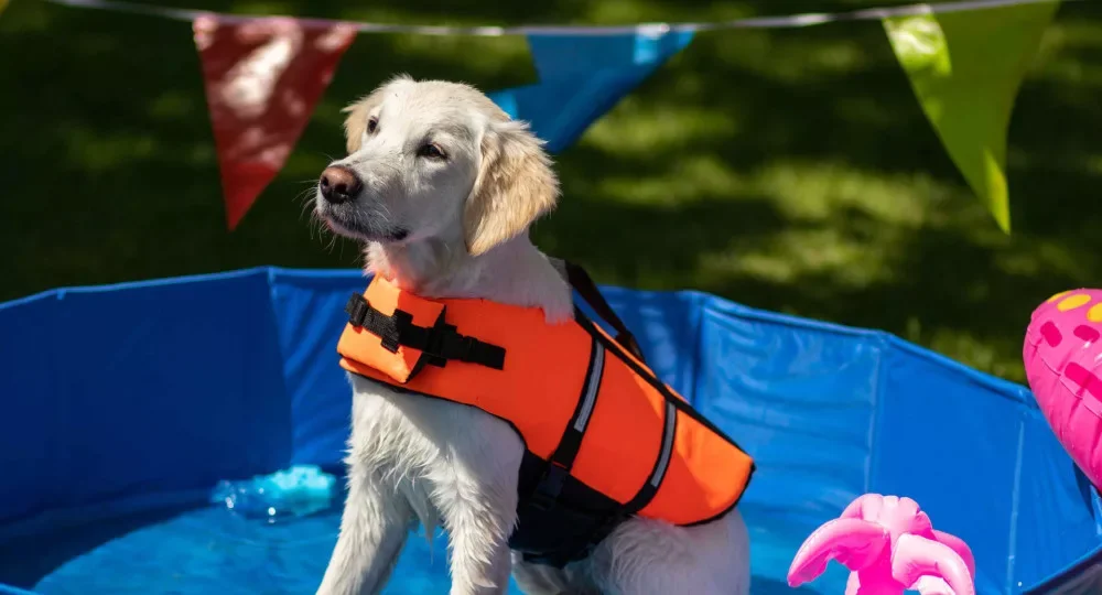 Legjobb ár Flamingo Fgo Dog Life Jacket mentőmellény kutyáknak - Small 7,5-10kg 30cm (143625)