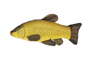 Biztonságos fizetés HALAS PÁRNA COMPÓ 60CM