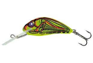 Expressz szállítás SALMO WOBBLER HORNET H2S GRH