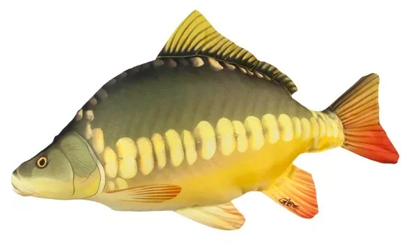 Expressz szállítás Halas Párna Ponty 60cm