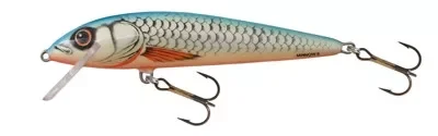 Csak ma Salmo Minnow M6F DB 6cm