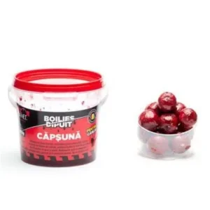 Korlátozott ajánlat Senzor Planet Boilies Dipuit Dippes Csalizó Bojli 16-18mm Fokhagyma