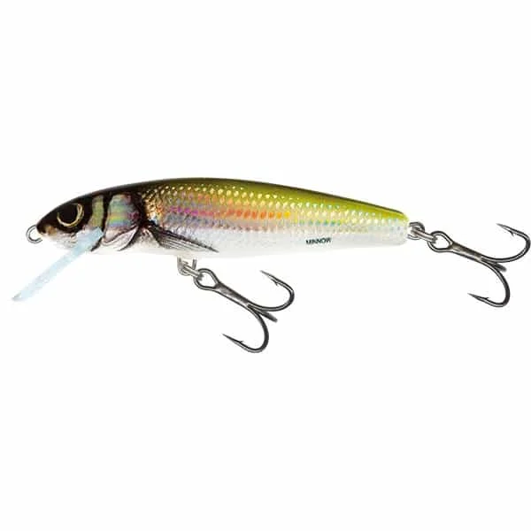 Salmo Minnow Sinking 5CM (QMW007-152) Expressz kézbesítés