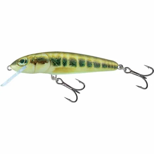 Olcsó Salmo Minnow Floating 5CM (QMW001-155)
