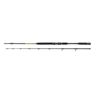 NEVIS Powercat BX 2.40m 200-400g harcsázó bot Akció