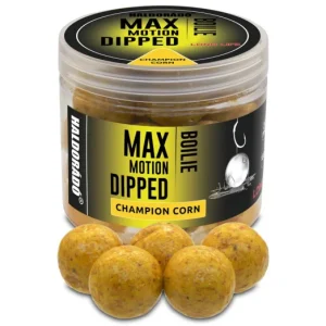 Expressz szállítás HALDORÁDÓ MAX MOTION Boilie Dipped 20 mm - Champion Corn