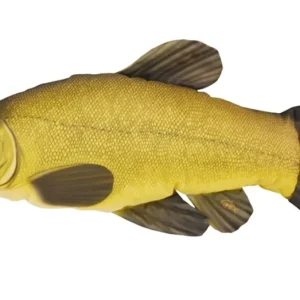 Korlátozott ajánlat HALAS PÁRNA COMPÓ 60CM