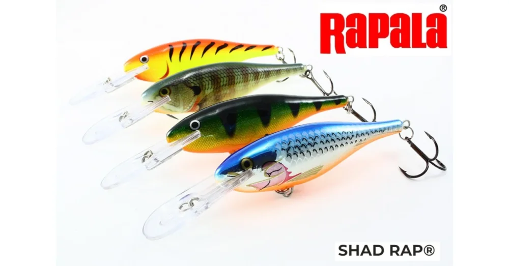 Kihagyhatatlan ajánlat RAPALA SHAD RAP SR07 WOBBLEREK 7CM 8G